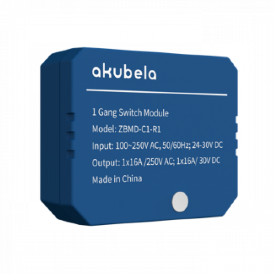 Akubela 2 Gang Switch Module