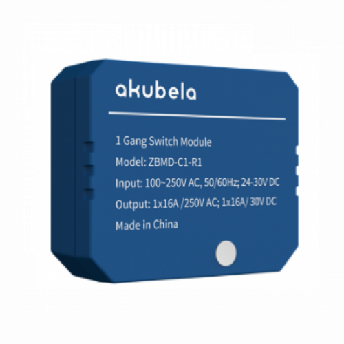 Akubela 2 Gang Switch Module