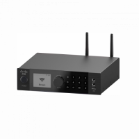 Arylic 100W x 2 Power Amplifier with FM-A100 sm