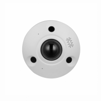 Dahua 12MP IR WizMind Fisheye Network Camera White sm
