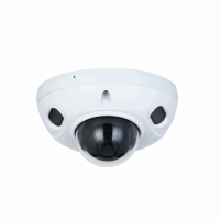 Dahua 4MP IR Fixed-focal Dome WizSense Network Camera sm