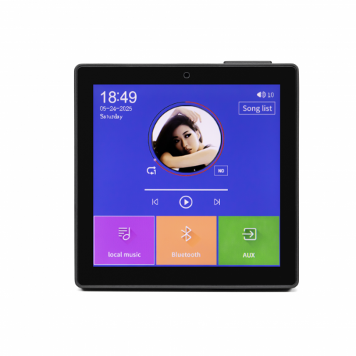 DSPPA 4X10W 4-inch In-Wall Intelligent music Amplifier