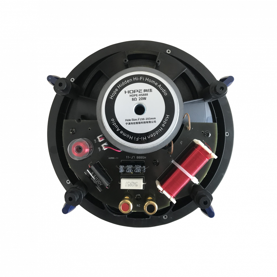 Ultra-thin 6.5 inch smart background music ceiling speaker HS888