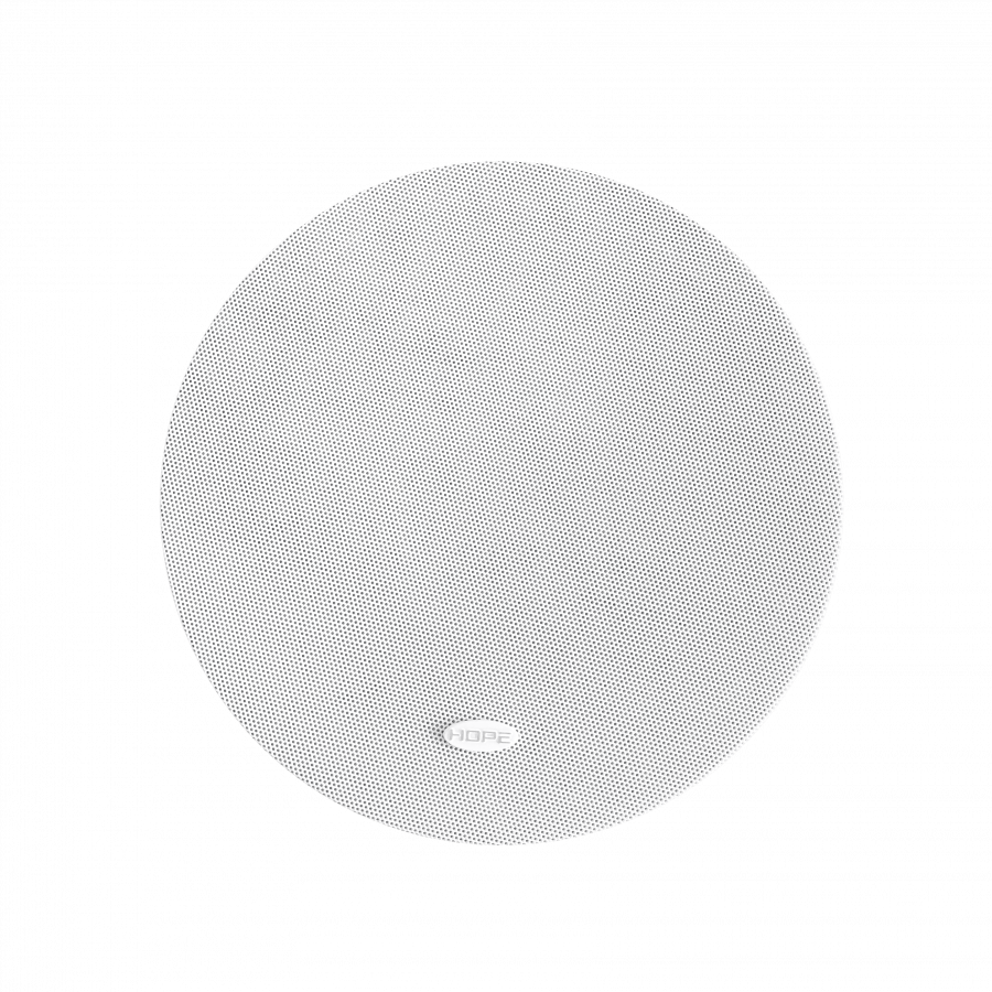 Ultra-thin 6.5 inch smart background music ceiling speaker HS888