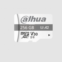 P100 MicroSD Memory Card 256GB sm