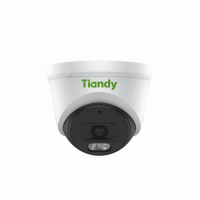 Tiandy 2MP Fixed Polar Day Turret Camera sm