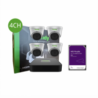 Tiandy KIT 4CH NVR 4*2MP Turret+1TB HDD sm