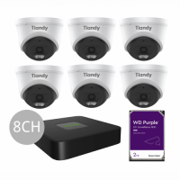 Tiandy KIT 8CH NVR 6*6MP 2TB KIT - PL sm